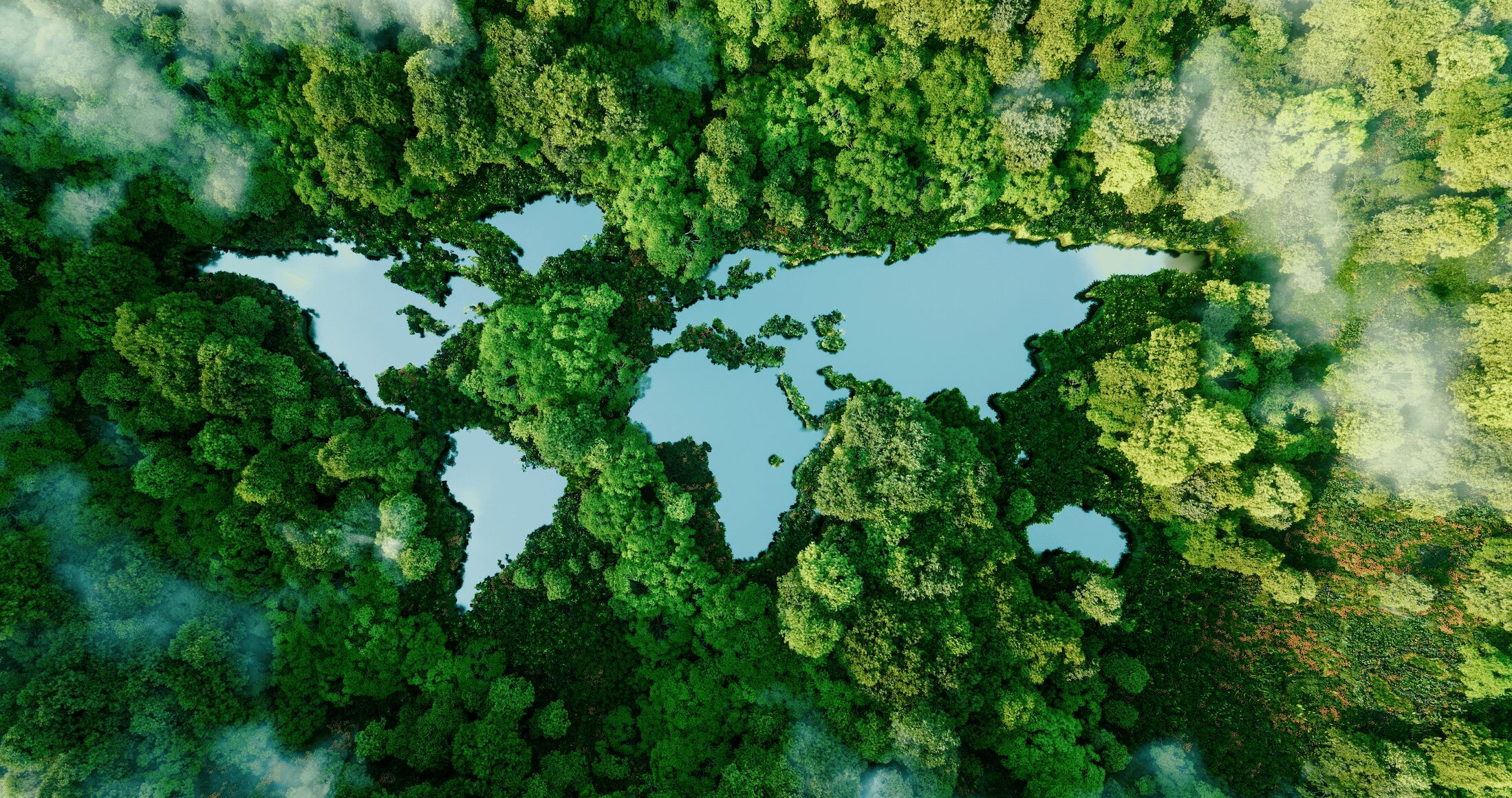 birds eye view of a world map edited into a forest