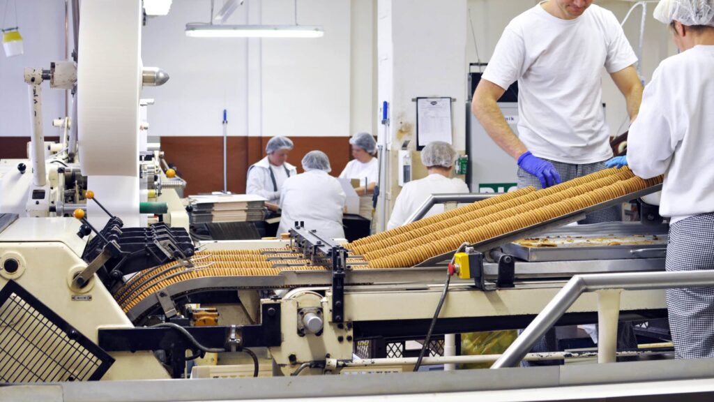 workers sorting biscuits on a conveyer belt