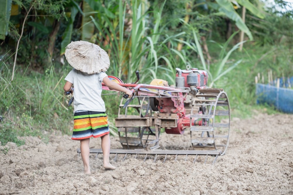 child working on an agricultural farm