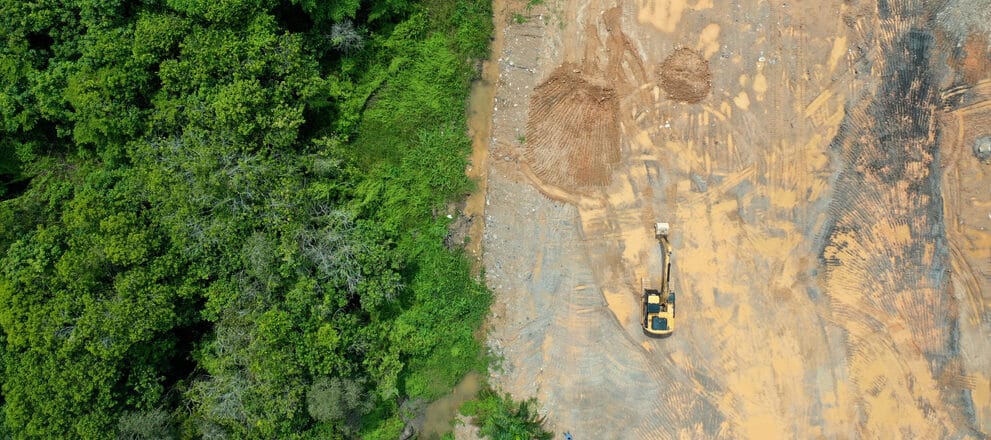 birds eye view where half of the image is a forest and the other half shows where deforestation has occurred and all of the trees have gone