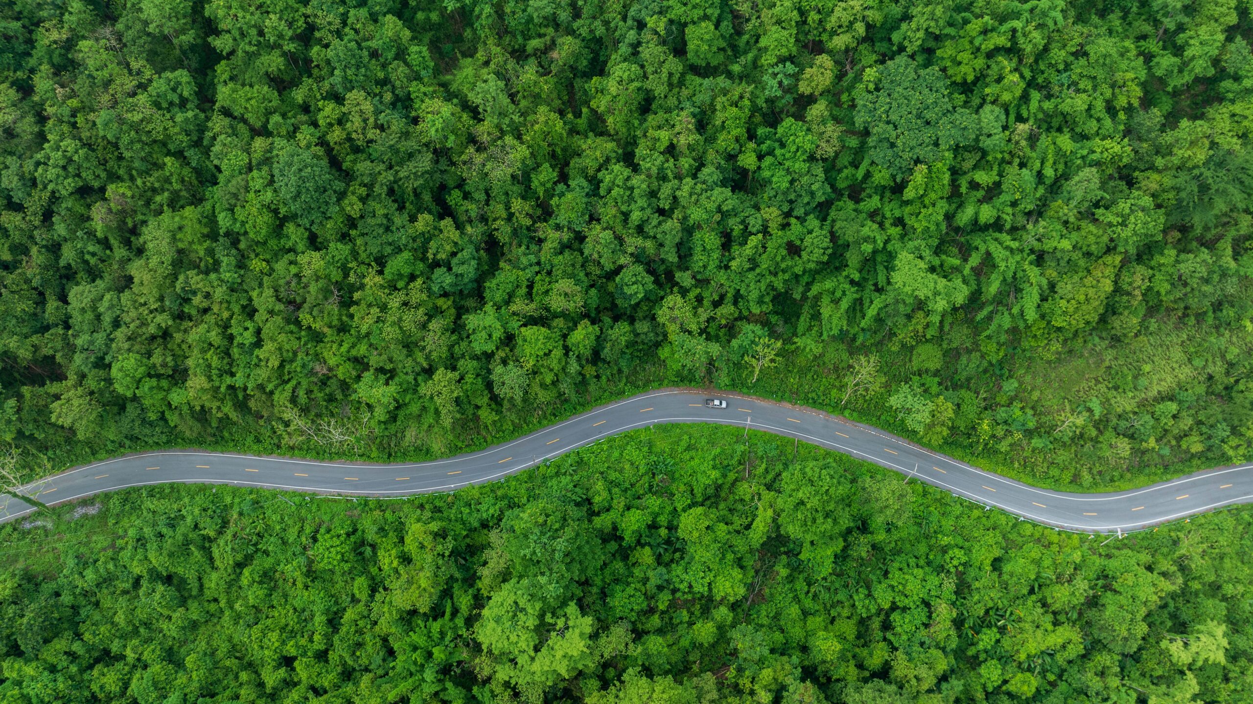 Birds eye view of a car driving down a winding road in the middle of a forest