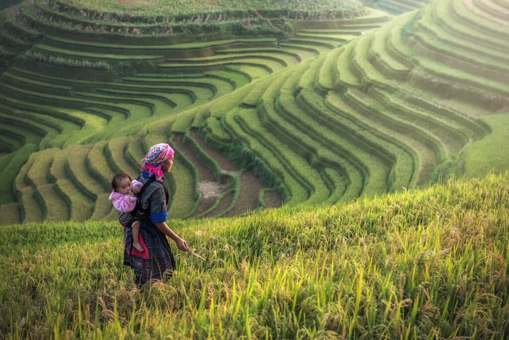 mother and child working at a rice field