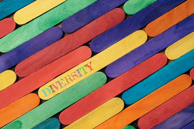 multicoloured wooden sticks where one has the word 'diversity' printed on it