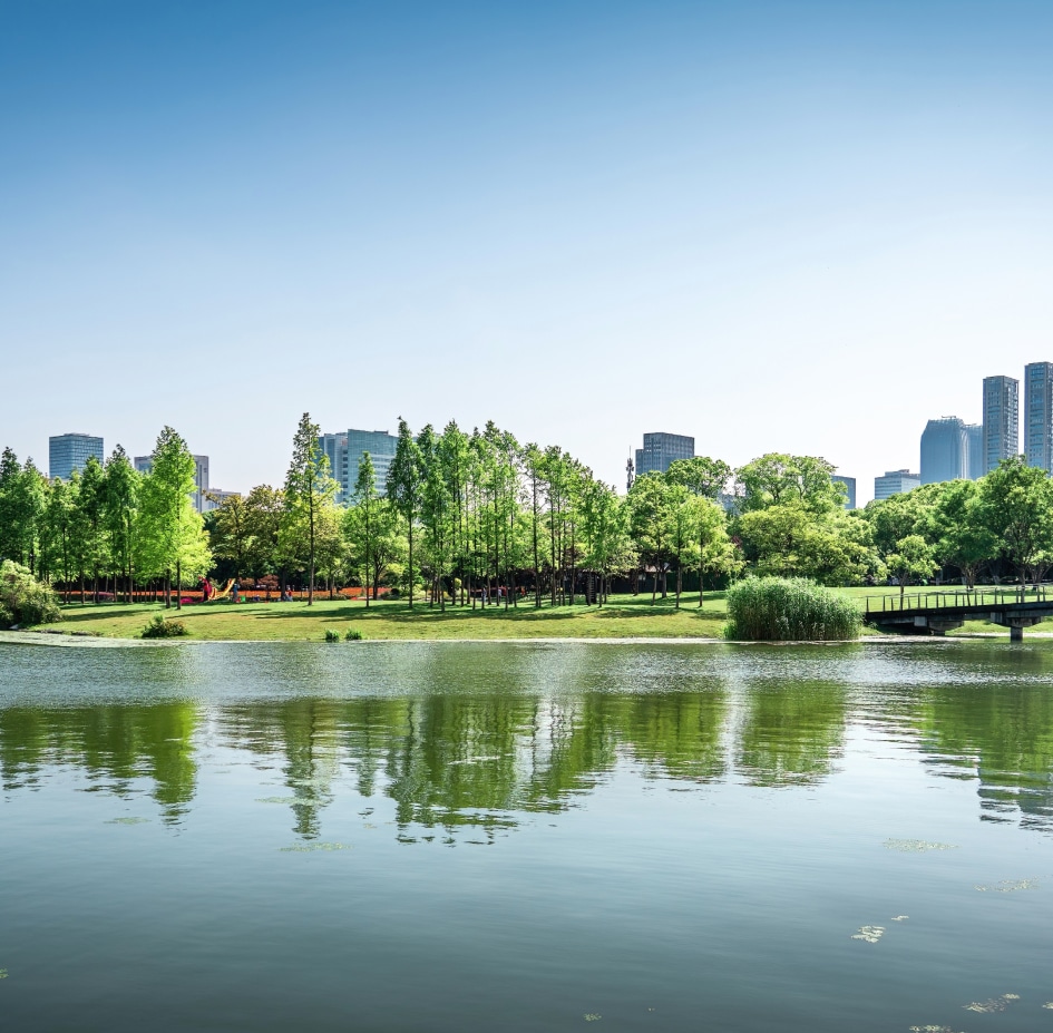 A lake and park with a city in the background