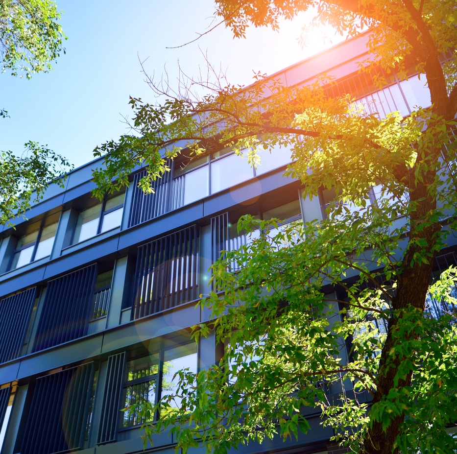 Office building with trees in front of it