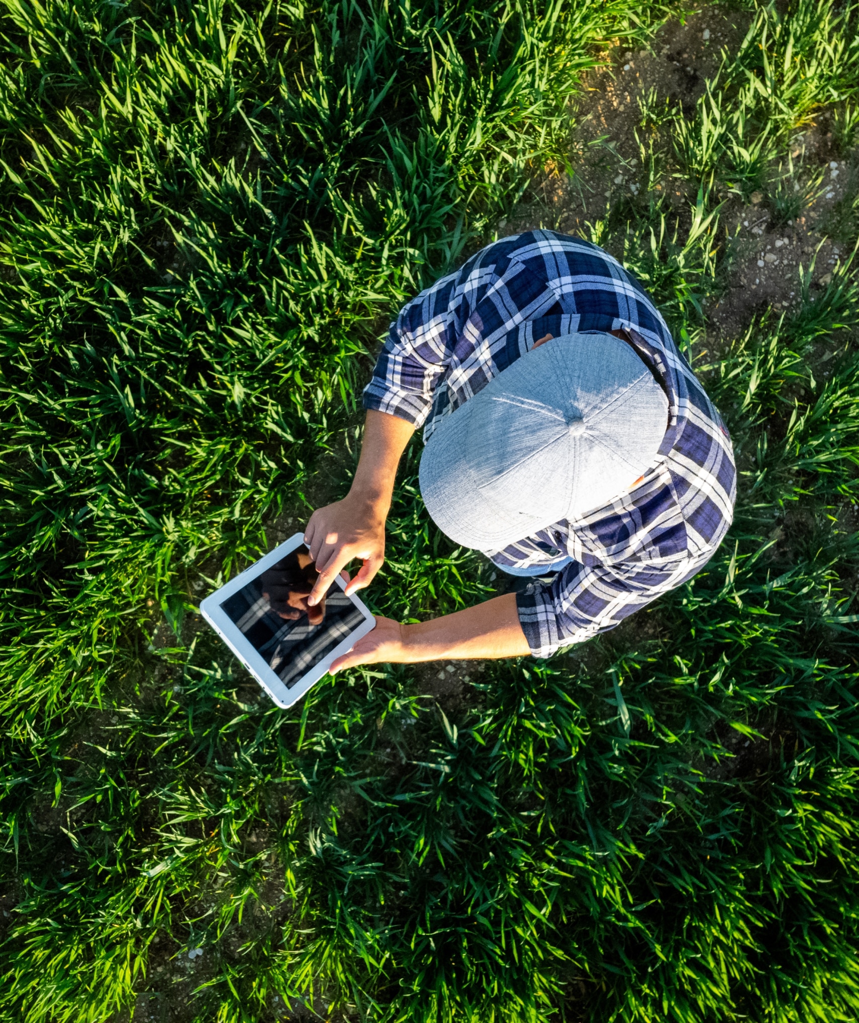 man working on a tablet device in the middle of a field